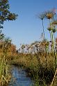 070 Okavango Delta, mokorotocht